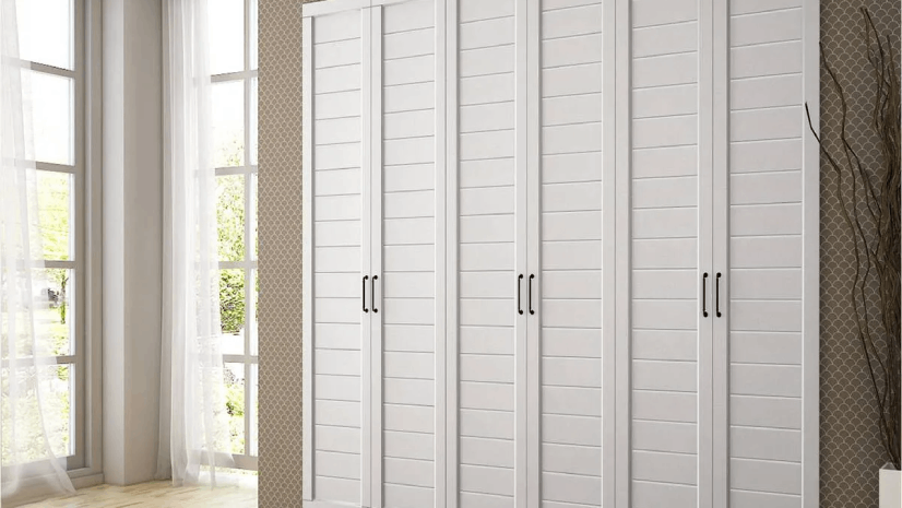 Hinged Door Wall Almirah design
